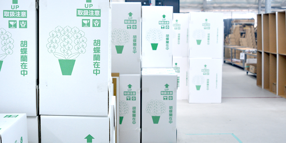 胡蝶蘭配送梱包