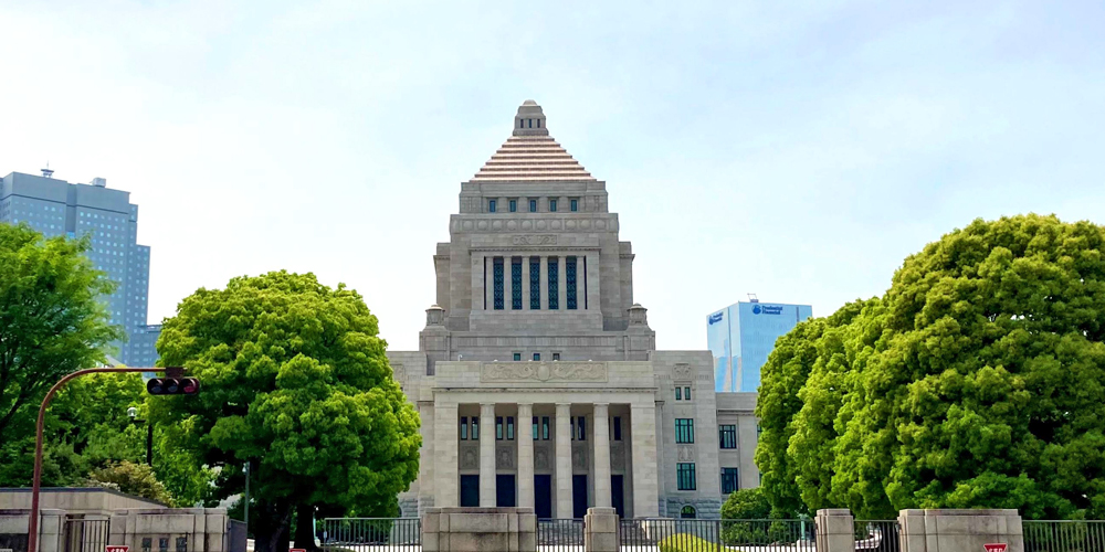 当選祝い胡蝶蘭