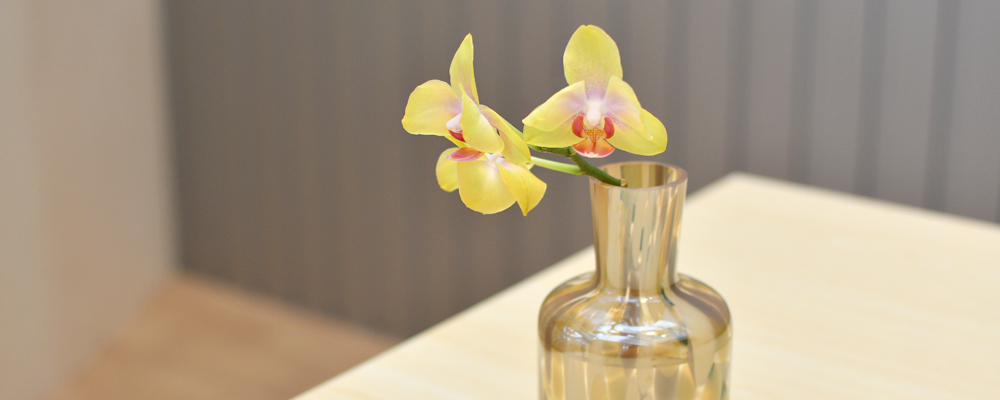 胡蝶蘭の湯上げ