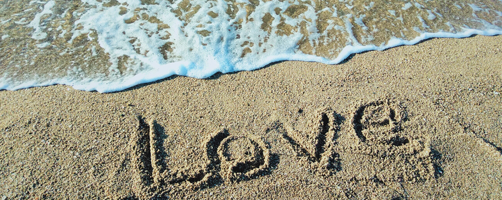 胡蝶蘭 花言葉まとめ