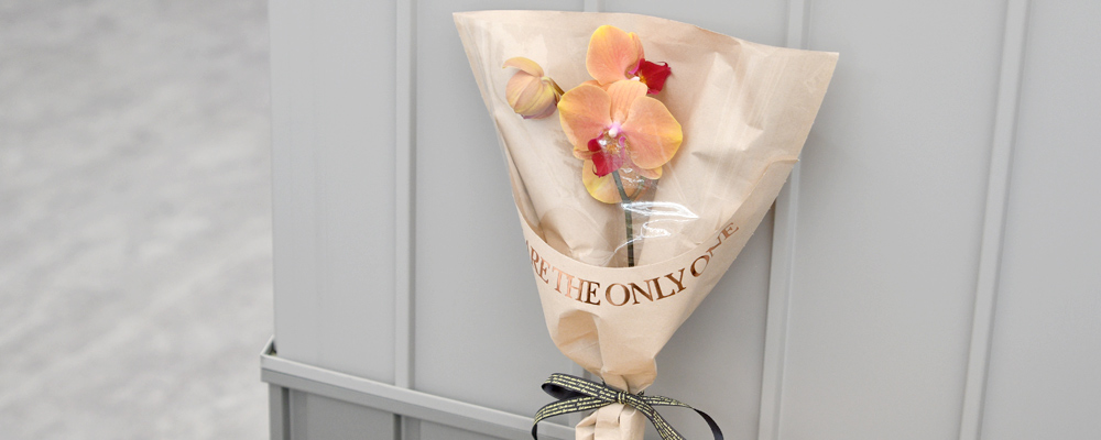 バースデー胡蝶蘭