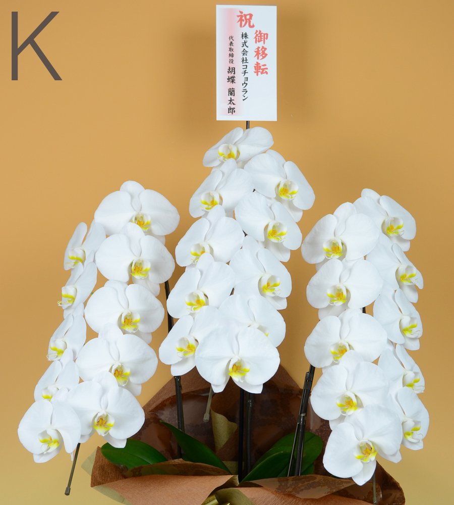 のびる花上紙札（たて書き）