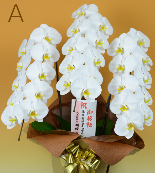 スタンダードな紙札（たて書き）