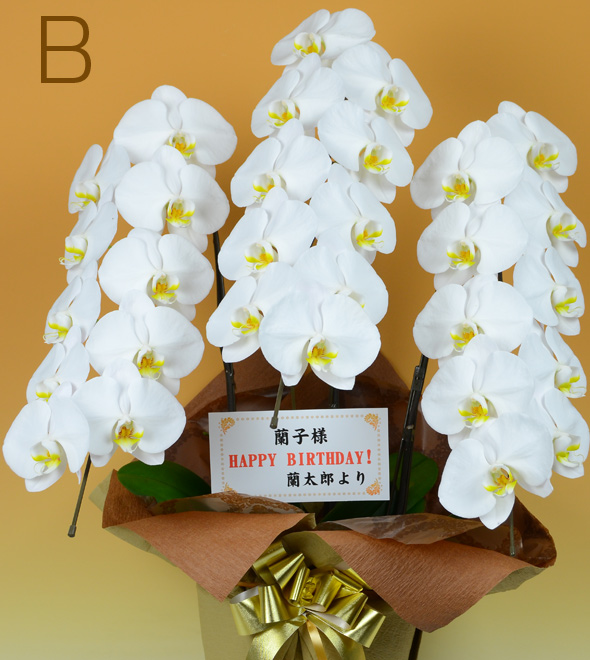 親しい人、英字などに（よこ書き）