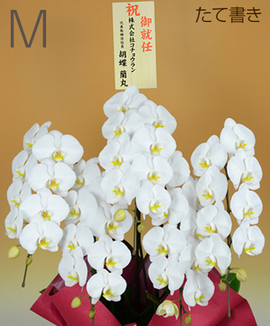 のびる花上札（木目／たて書き）