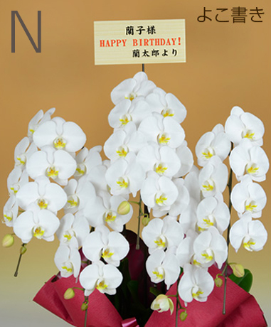 のびる花上札（木目／よこ書き）