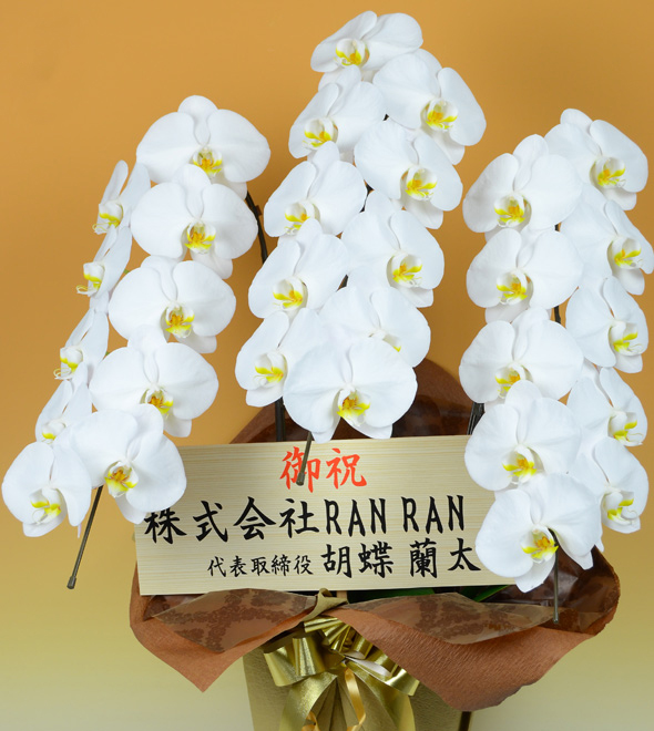 木札 大（よこ書き）