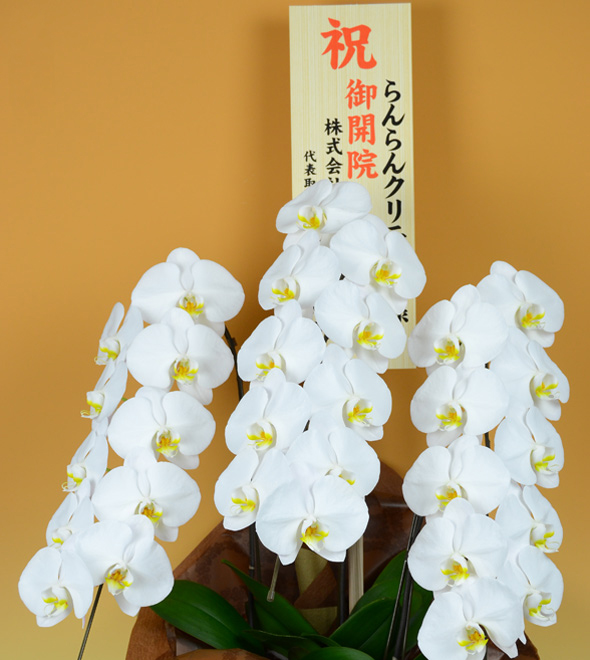 木札 大（たて書き）