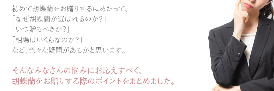 お祝いの胡蝶蘭の贈り方