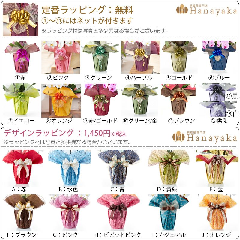 胡蝶蘭のラッピング