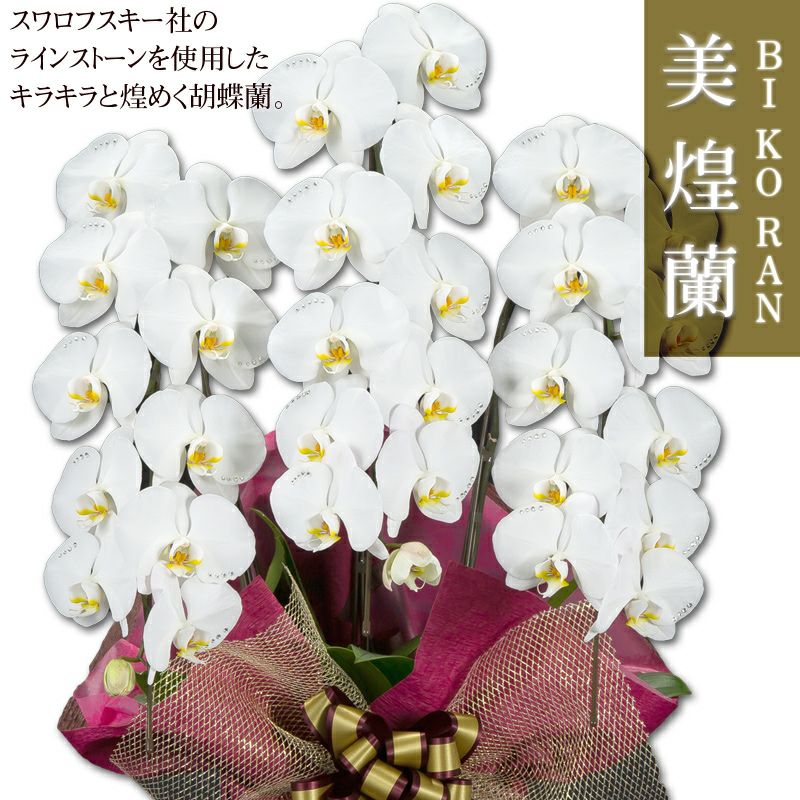 美煌蘭 スワロフスキーを施した胡蝶蘭【営業日昼12時迄の注文で翌日