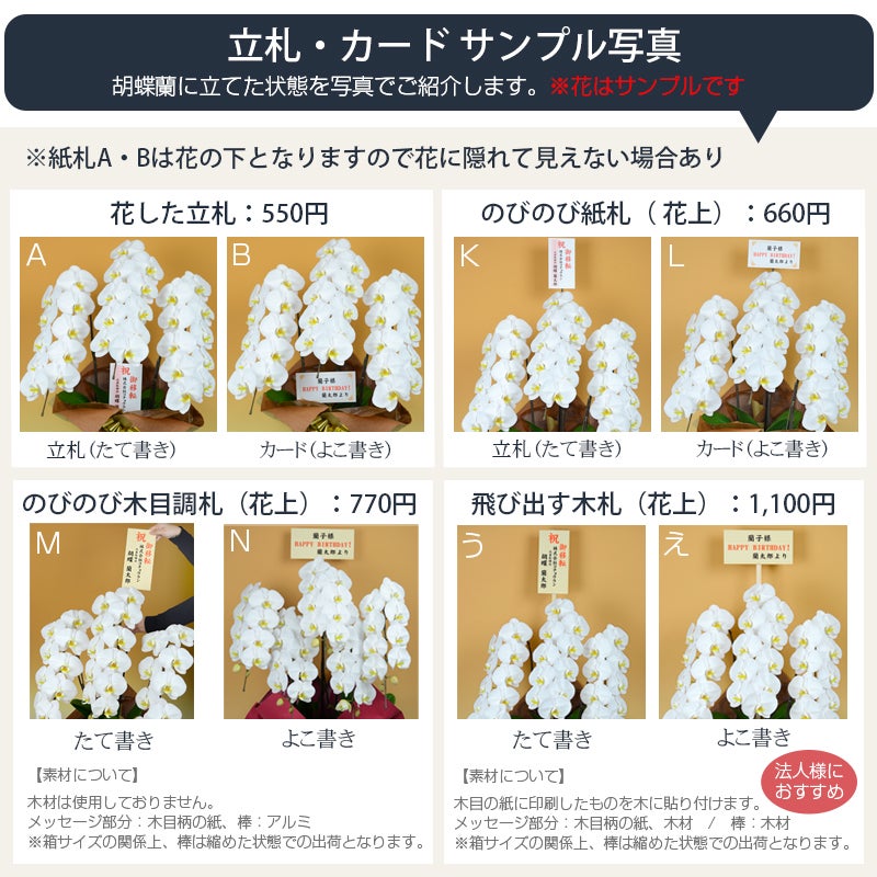 札 ラッピング