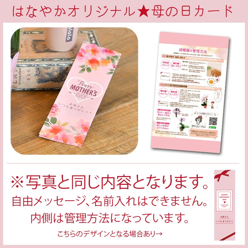 母の日企画反映