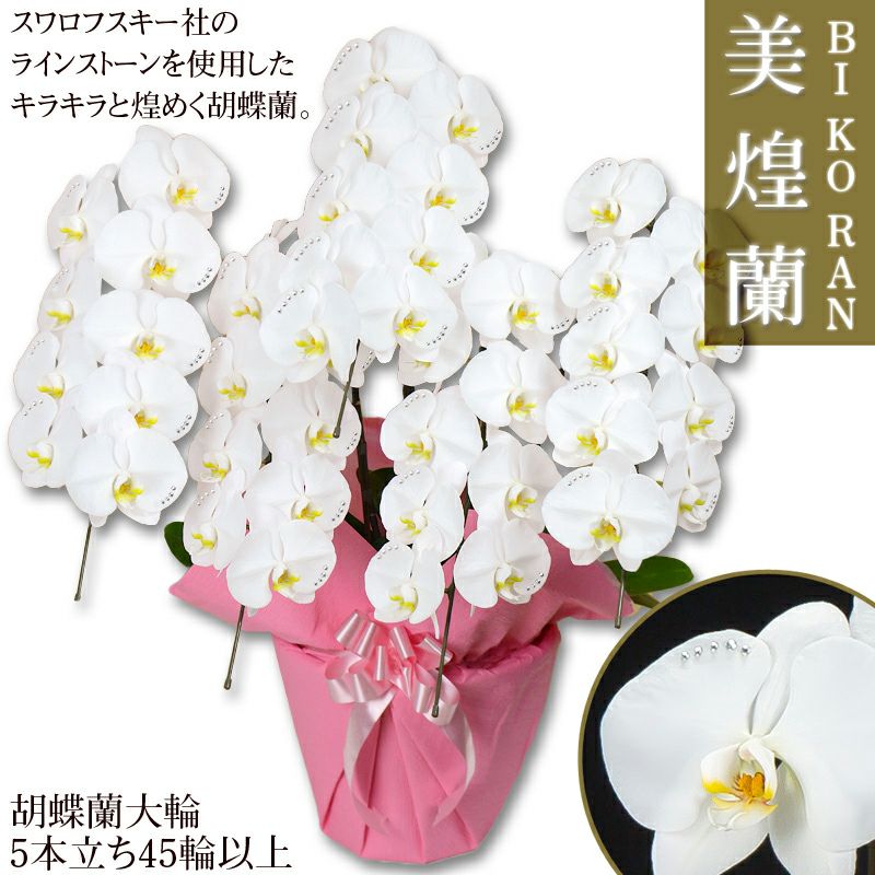 美煌蘭 スワロフスキーを施した胡蝶蘭【営業日昼12時迄の注文で翌日