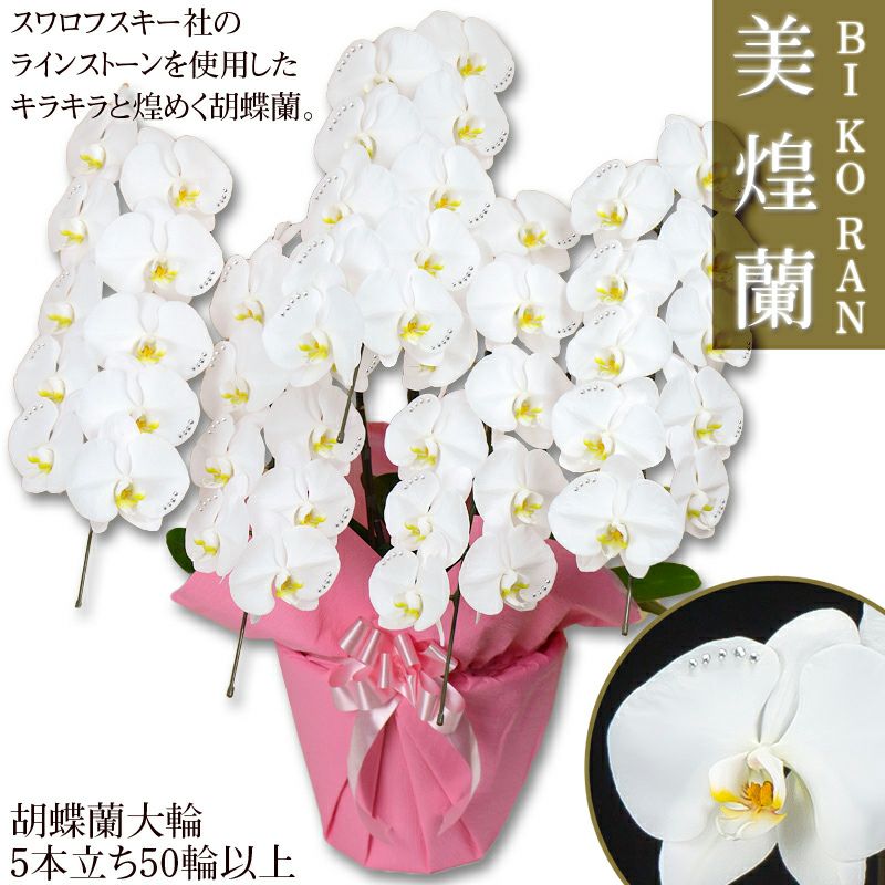 はなやかオリジナル☆美煌蘭 スワロフスキー付き胡蝶蘭 白大輪5本立ち