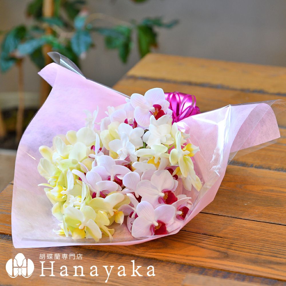 胡蝶蘭の花束 ミディ 生花 切り花 フラワーブーケ